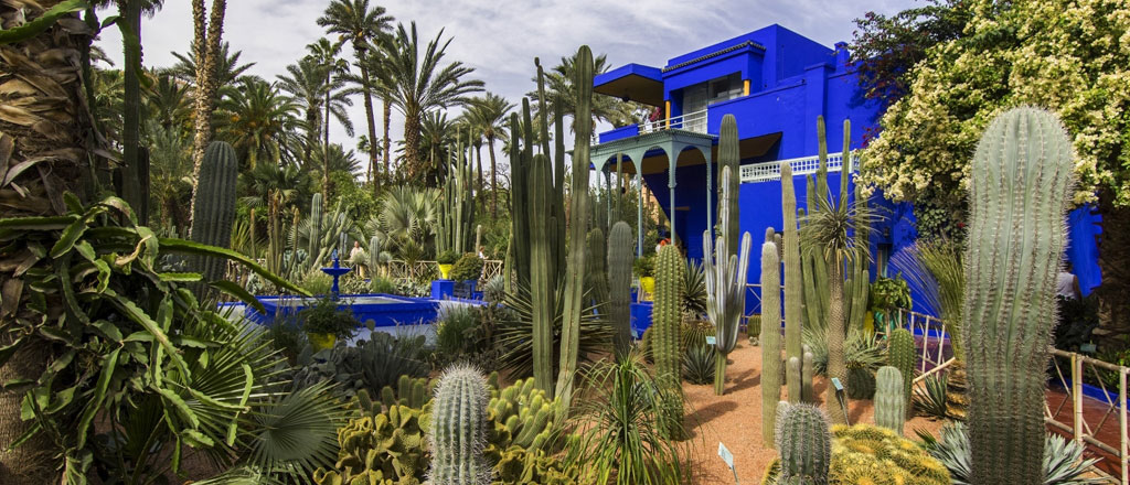 Visiter le Jardin Majorelle